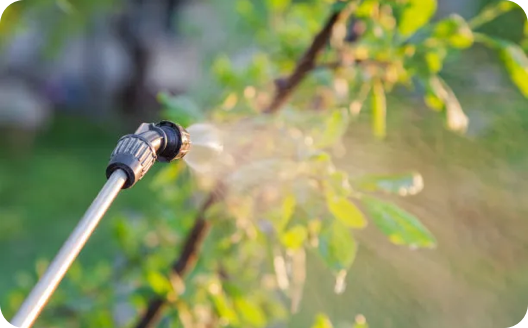 Plant protection products